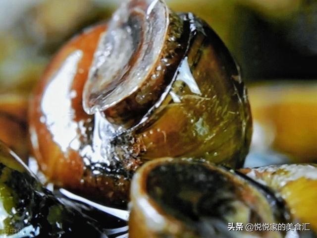 田螺和螺蛳的区别，田螺和狮螺的区别是什么（大个和小个到底哪种好）