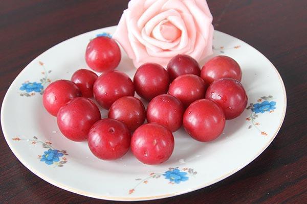 杏伤人是什么意思,桃饱杏伤人,下一句是什么("桃养