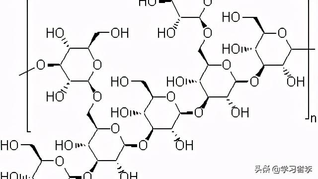 醋鳖甲的功效与作用与主治，醋鳖甲功效与作用禁忌（抗癌中药九：鳖甲）