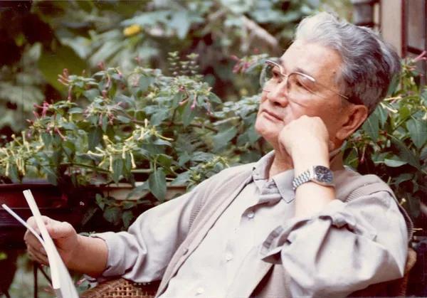 木行念什么，一个木字旁一个行念什么（“三毛”究竟经历了什么）