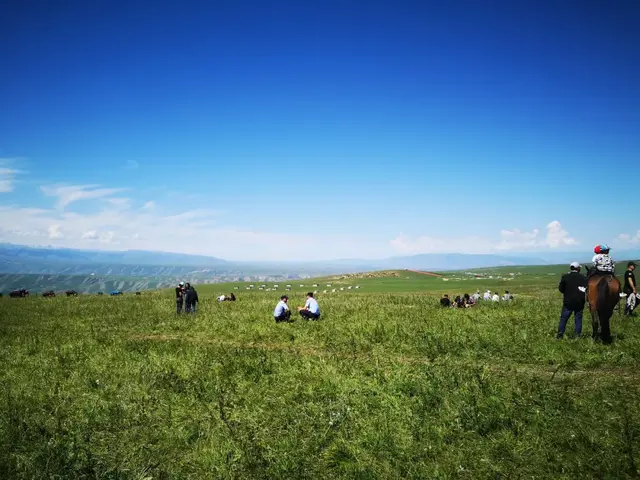 八卦城在新疆什么地方，新疆八卦城是谁设计的（全国特色旅游名县）