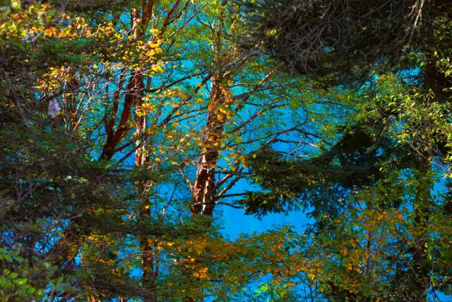 九寨沟在哪个市，九寨沟在哪里个城市（刚刚，九寨沟全域，重新开放）
