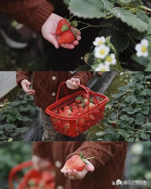 团建项目有哪些，在宿舍的团建项目有哪些（最适合秋天的五大团建项目）