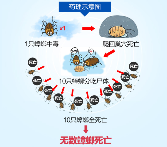 家里很干净突然出现一只蟑螂，家里很干净为什么有蟑螂（因为在暗处还有1000只）