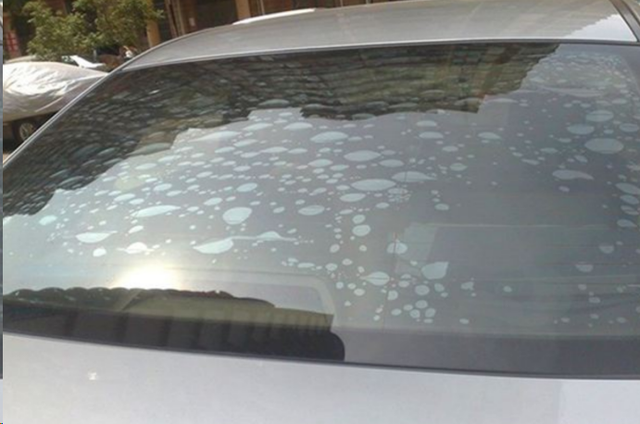 贴膜怎么贴才能没气泡，手机贴膜怎么贴才没有气泡（只要学会这两招）