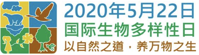 海洋生态系统（国际生物多样性日丨行动起来）