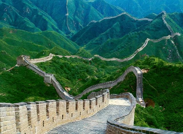 阳气最强的树是什么树 有哪些种类，阳气最强的树是什么树（老祖宗忠告：“门前种三树）