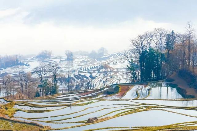 山河覆雪风波恶，江头未是风波恶（见证“词中之龙”的豪情与柔情）