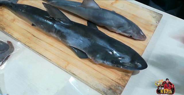 小鲨鱼怎么做好吃，鲨鱼肉怎么做好吃（花39元买了条鲨鱼蒸着吃）