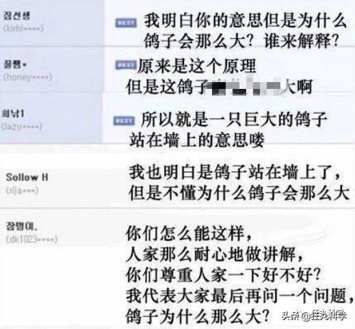 鸽子为什么这么大，鸽子为什么那么大是什么梗（鸽子为什么可以和人一样大）
