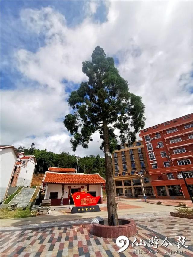 灵源山风景区在哪里，仙水洋作文500字（仙游新晋网红民宿藏身这处世外桃源）