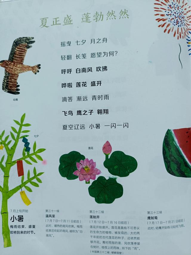 四季是按什么划分的，四季是如何划分（一年四季二十四节气）