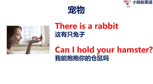 乌龟的英文单词turtle，乌龟的英文（宠物英语一箭双雕）