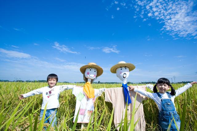 幼儿园活动方案，幼儿园中秋节活动方案（幼儿园亲子活动方案精选合集）