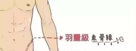 13种人鱼线，人鱼线这4个等级，你在哪一级