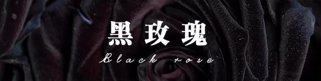 各种玫瑰花的含义，各色的玫瑰花有什么含意（一篇文章认全花店必备80种玫瑰花）