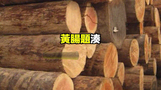 铜祖是什么东西，铜祖是什么东西图片（这座古墓似是跨越了几千年的时空）
