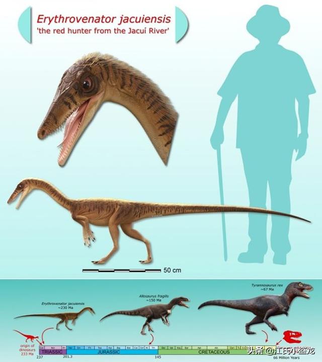 re网名的含义，Re微信昵称（2020古生物学家到底命名了多少种恐龙）