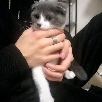 山山而川网名，山山而川微信昵称（好听稳重成熟的网名男四个字褪去了曾经的青涩-可爱点）