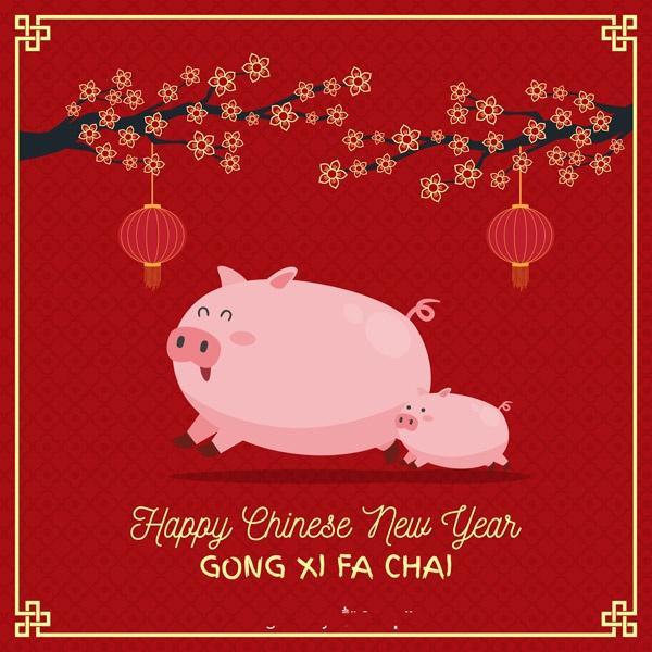 搞笑的新年祝福语，有关春节的祝福语（搞笑的春节拜年祝福语大全）