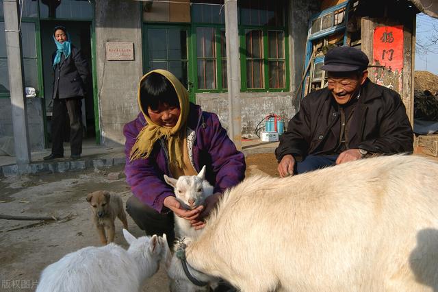 属羊的人干什么最挣钱，属羊人做什么行业发财（他靠这种方式赚钱值得借鉴）
