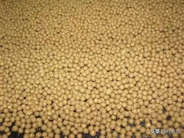 求贡丸的配方和制作方法，怎么自己做贡丸（手工制作中药丸）