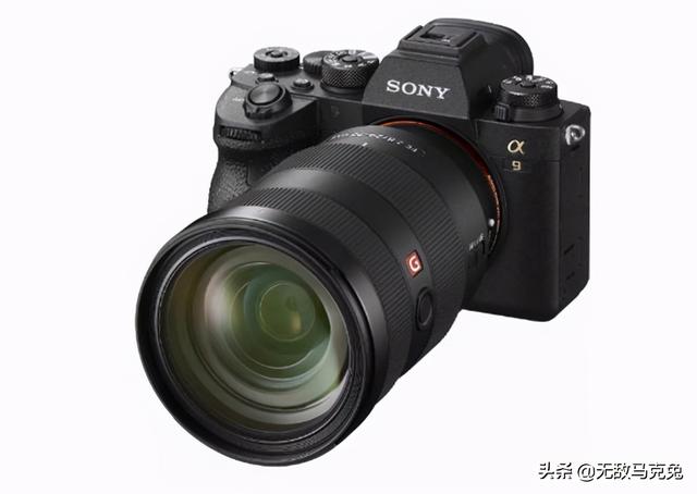全画幅相机推荐，全画幅单反相机排行（2021年最佳全画幅相机）