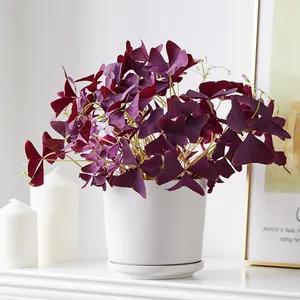 幸运草的花语是什么，幸运草的花叫什么（戴启章散文：幸）