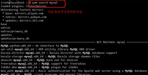 linux软件安装在哪个目录