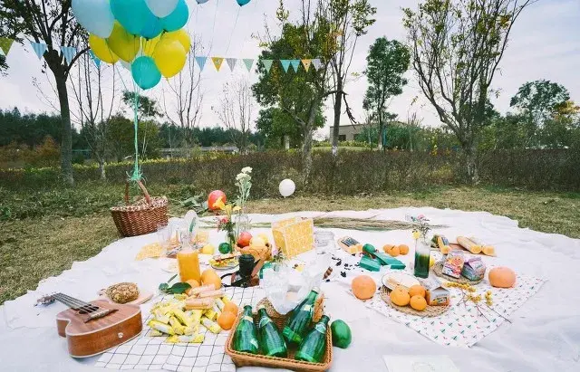 picnic是什么意思，picnic意思（最野的野餐，只在朋友圈里）