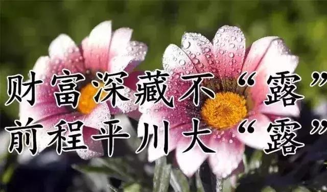 关于寒露的祝福短信，寒露祝福短语（最美的祝福送上）
