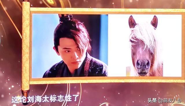 羊驼/头像背景图/治愈系羊驼微信，羊驼/头像背景图/治愈系羊驼（于小彤“羊驼刘海”毁了整部《长相守》）