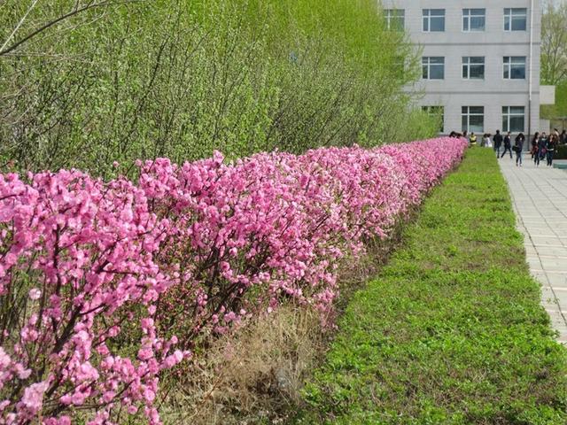 2019哈尔滨剑桥学院艺术类录取分数线，含2016-2018历年（<三十四>哈尔滨剑桥学院）