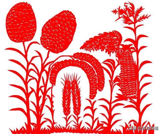 明年什么年属什么生肖，明年是什么生肖（2021年是辛丑年）