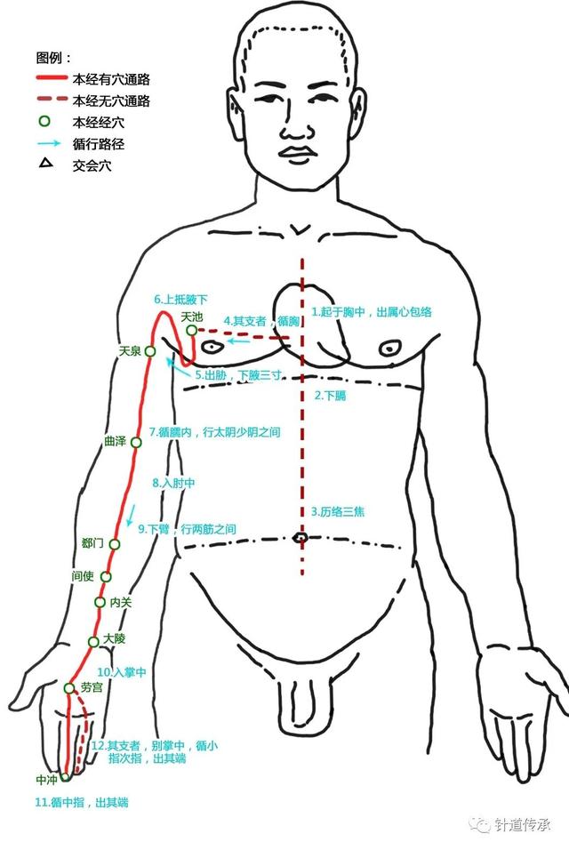 十二经脉歌诀必背，十二经脉流注次序歌诀必背（这篇十二经脉解读汇总全告诉你）