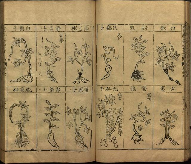 本草纲目全书带图，李时珍本草纲目全书（李时珍著《本草纲目》附图卷）