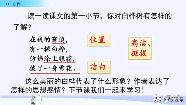 悠扬的近义词，“悠扬”的近义词是什么（四年级下册语文第11课《白桦》图文详解及同步练习）