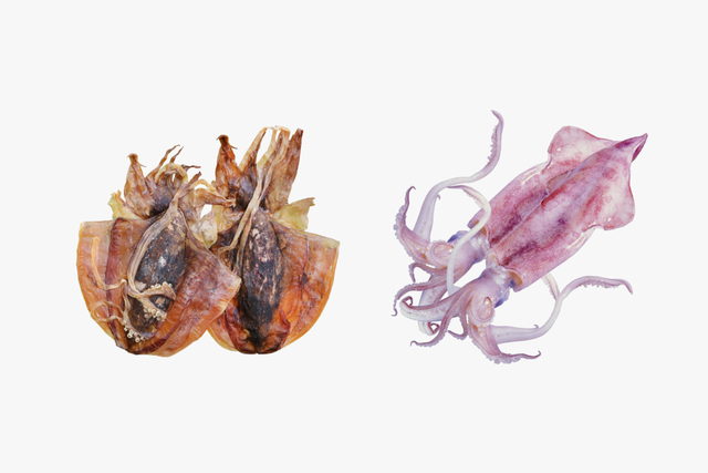 章鱼和鱿鱼的区别，章鱼和鱿鱼的区别视频（鱿鱼、章鱼、墨鱼傻傻分不清楚）