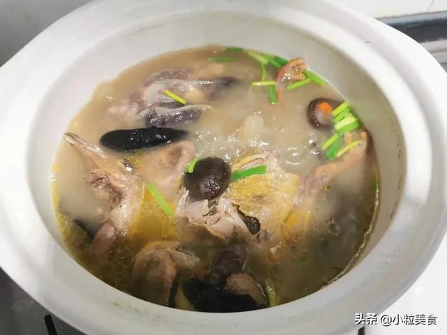 清炖鸽子汤 清炖鸽子汤的做法，清炖鸽子汤（教你怎么做清炖鸽子汤）