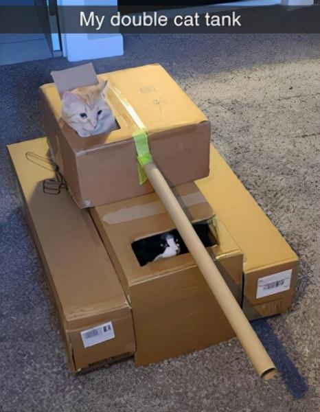 如何用最简单的材料给猫咪做玩具，如何用最简单的材料给猫咪做玩具熊（网友给家里的猫打造纸箱坦克）