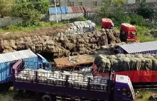 塔寨村在哪里，破冰行动塔寨村在哪里（4000警力陆海空全清缴）