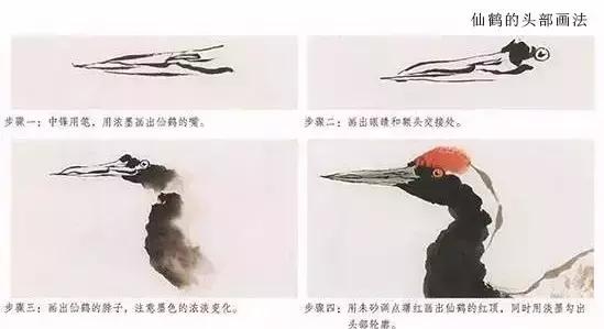 詹仁左写意鸟的画法，国画教程：写意仙鹤画法
