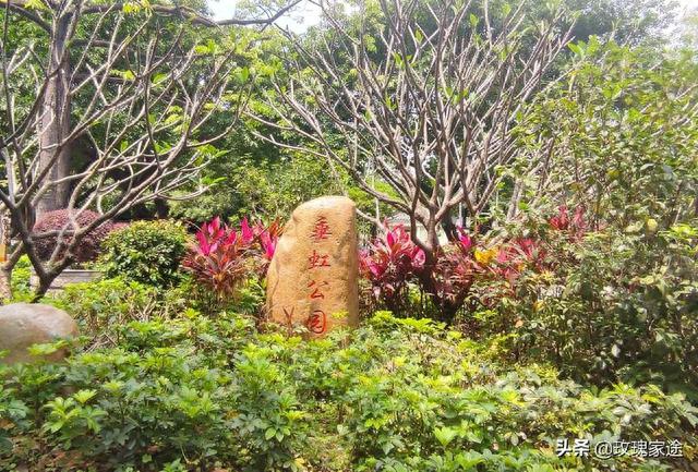 美丽中国之佛山公园行11/垂虹公园~先行书店