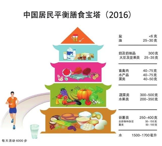 1l食用油等于多少斤，1l油等于多少斤（1斤油=40斤圆白菜）