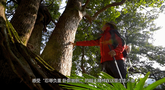 南黄古道攻略，浙江10条小众古道