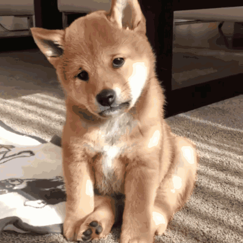 镜子里的自己和相机里的自己哪个真实，相机和镜子哪个是真正的我（为什么镜子里的我比前置自拍里好看一万倍）