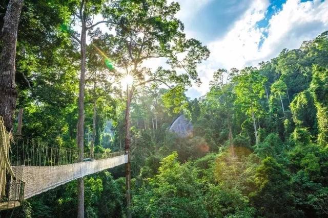 西双版纳的景点，西双版纳景点排行榜（去云南西双版纳旅游必去的十大景观）