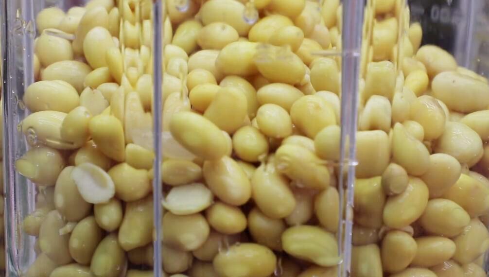 圖片[2]-【自制腐竹】做法步驟圖 營養健康無添加 吃著更放心-起舞食譜網