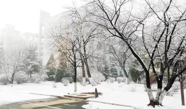 辽宁科技大学宿舍，2021年辽宁科技大学新生宿舍条件图片环境怎么样（<十五>辽宁科技大学）