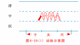 中医把脉入门必背口诀，把脉入门必背口诀（最全动图展示一目了然）